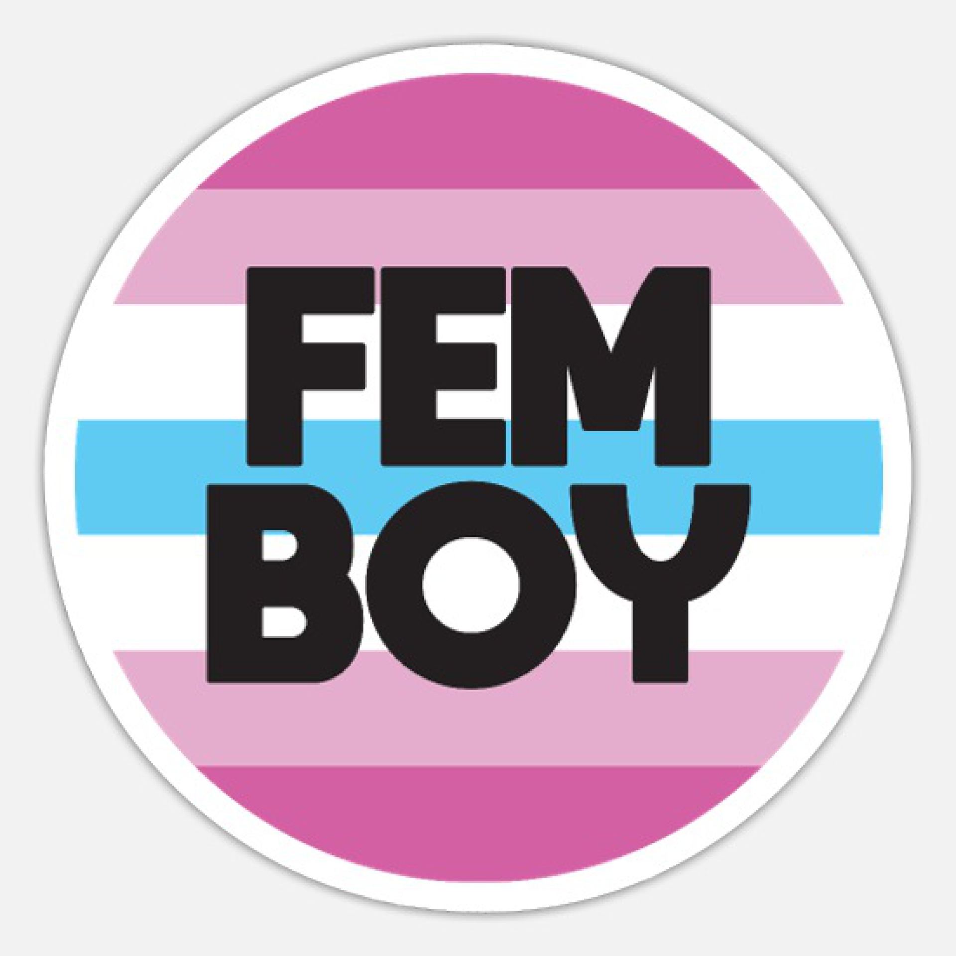 Wat is een Femboy?