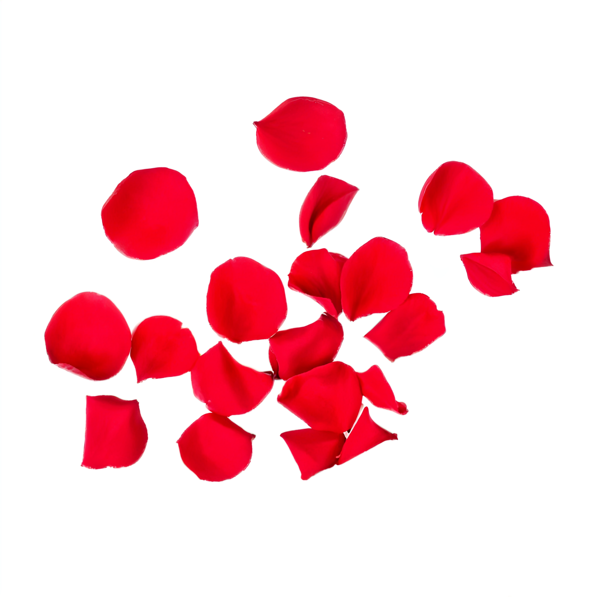 Rozenblaadjes 100 stuks rood online