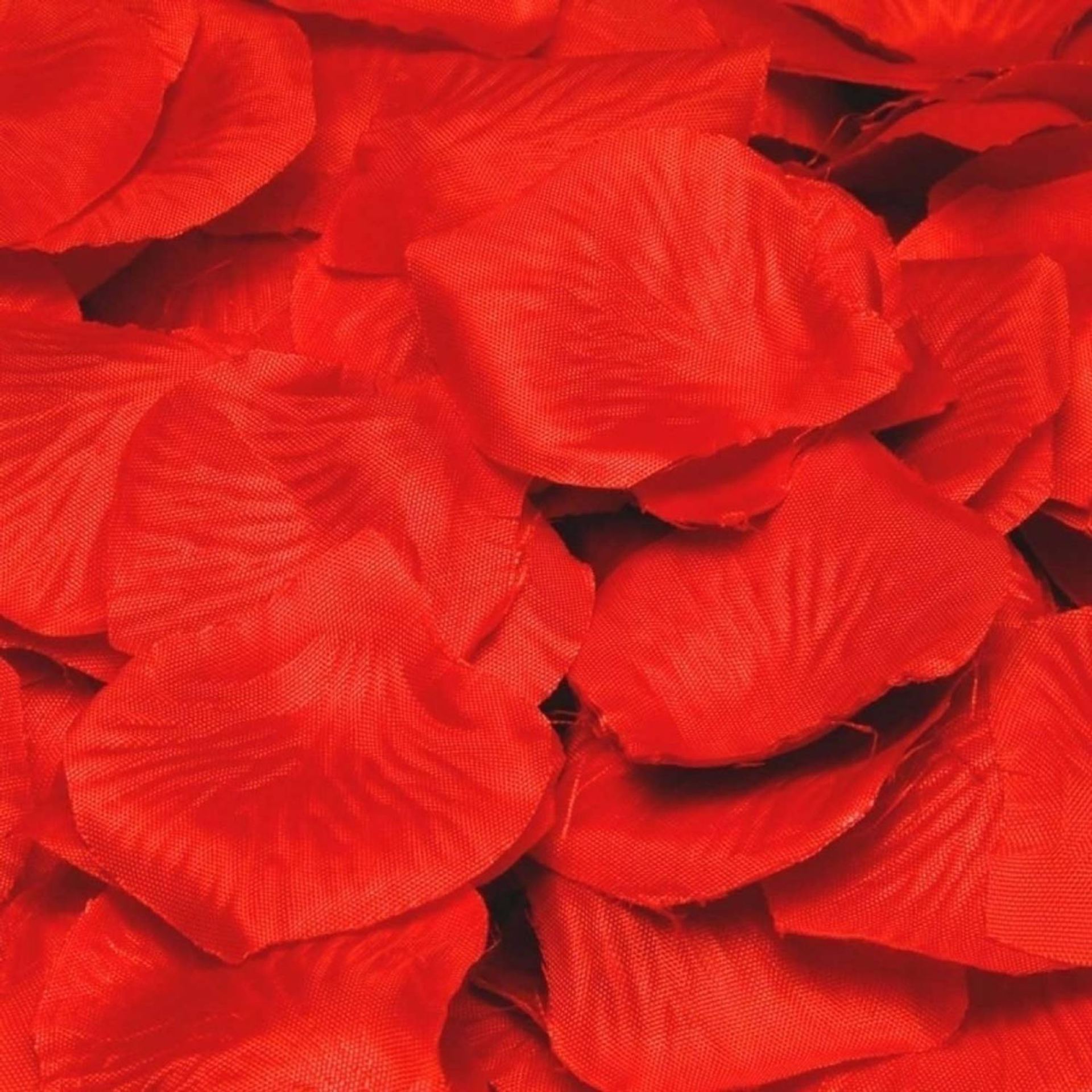 rozenblaadjes 100 stuks rood goedkoop