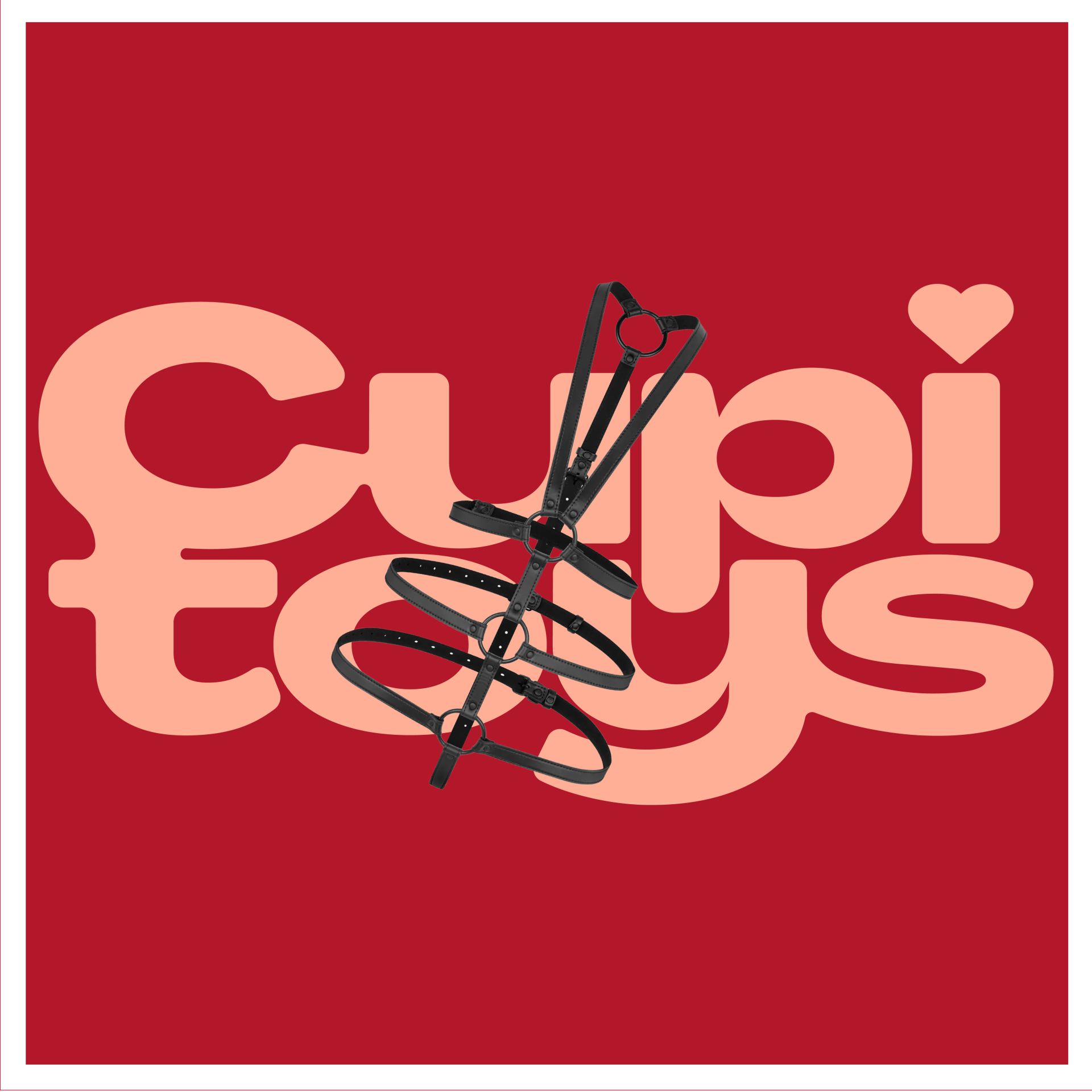 Bondageharnas bovenlichaam bestellen