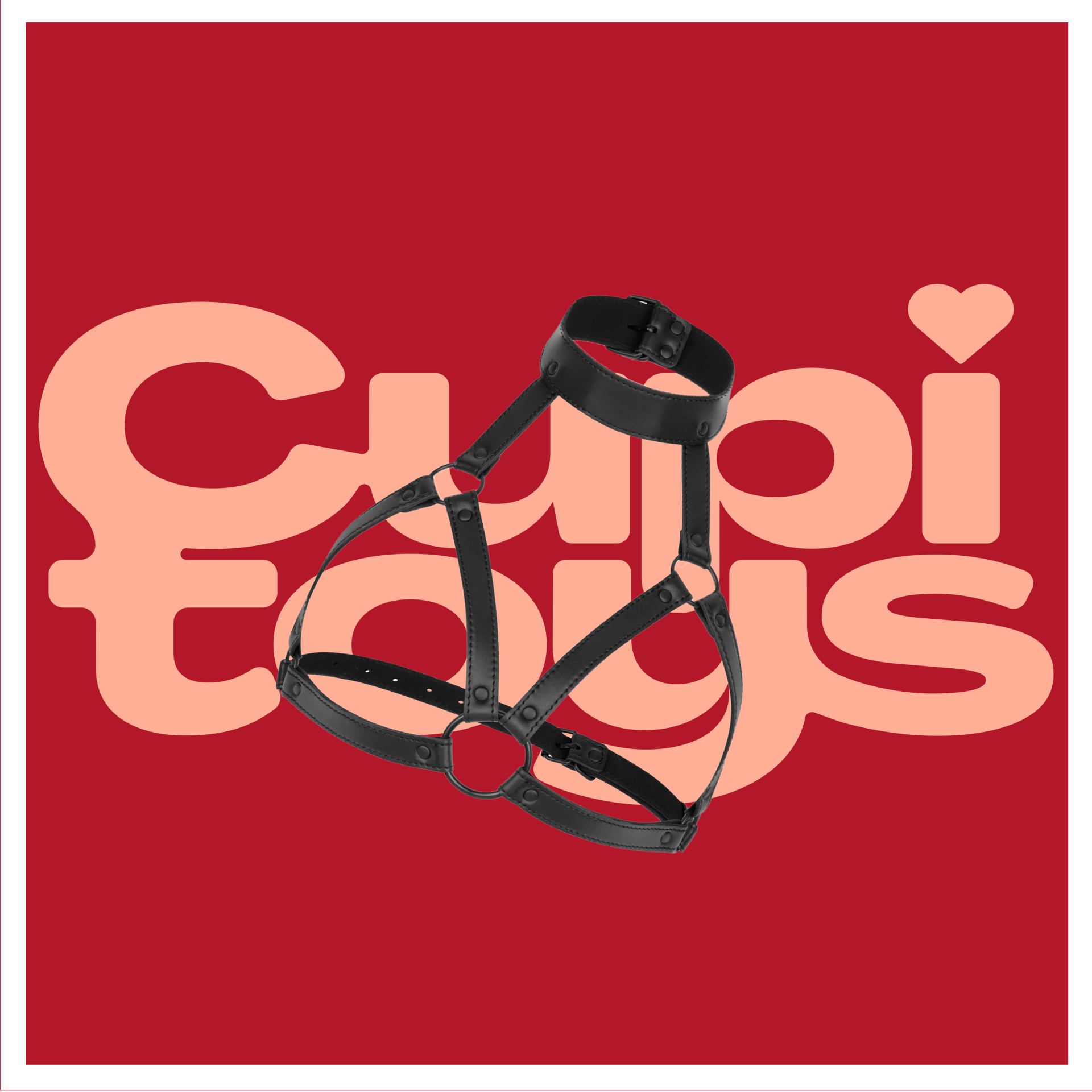 Bondageharnas borst goedkoop