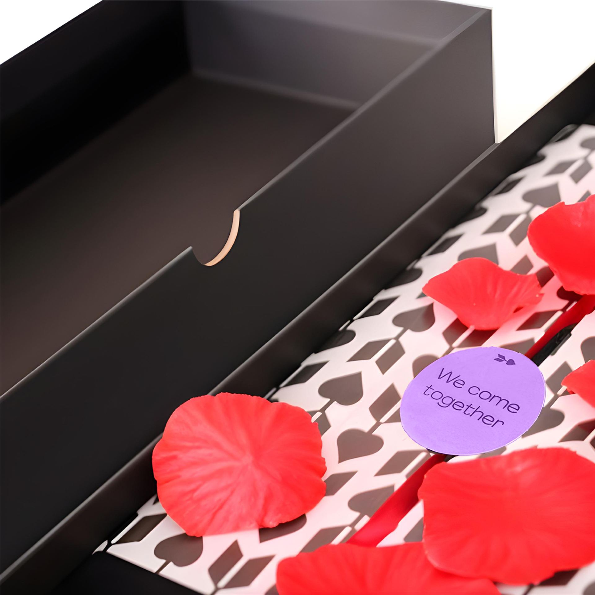 Wand vibrator cadeauverpakking paars