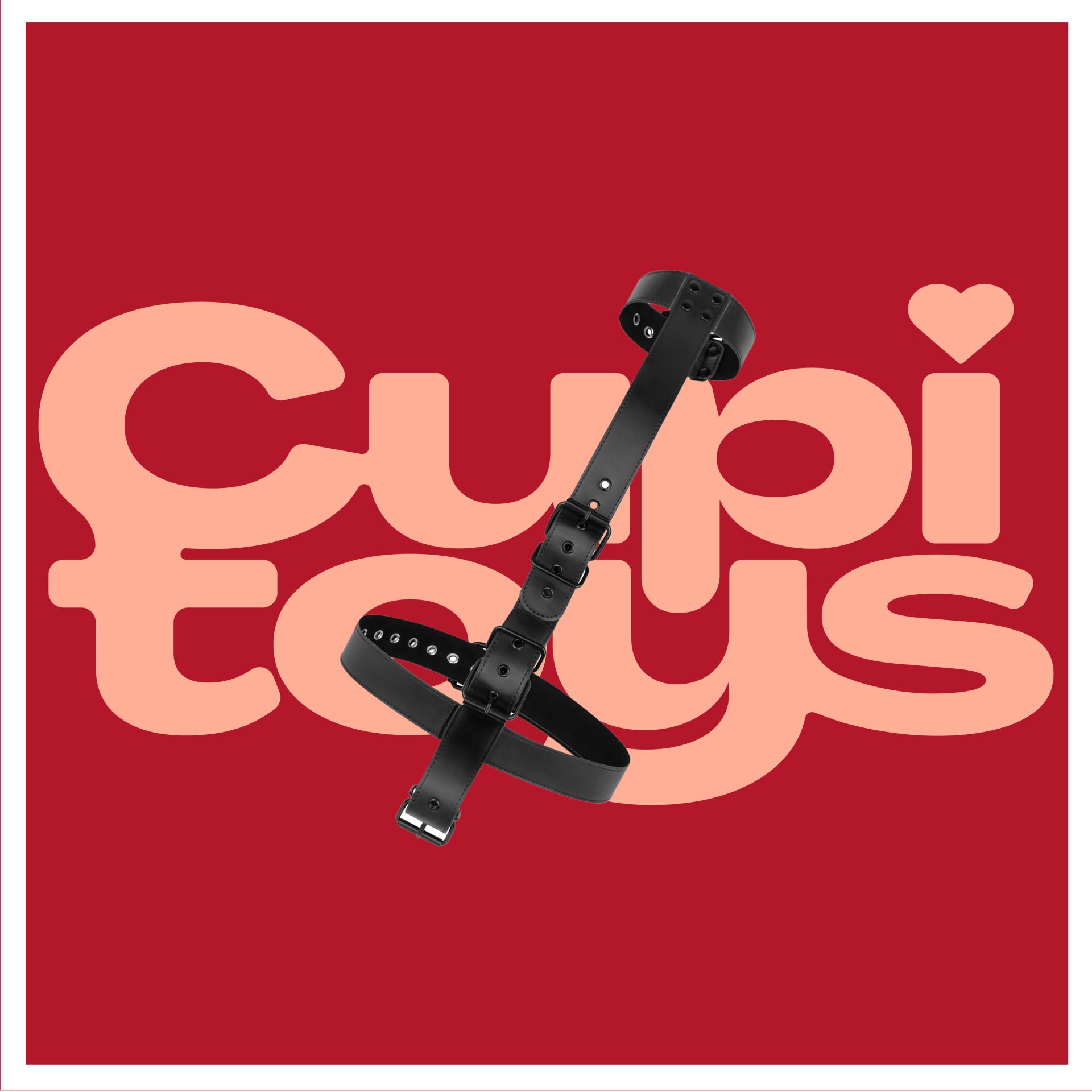 Bondageharnas verticaal online kopen