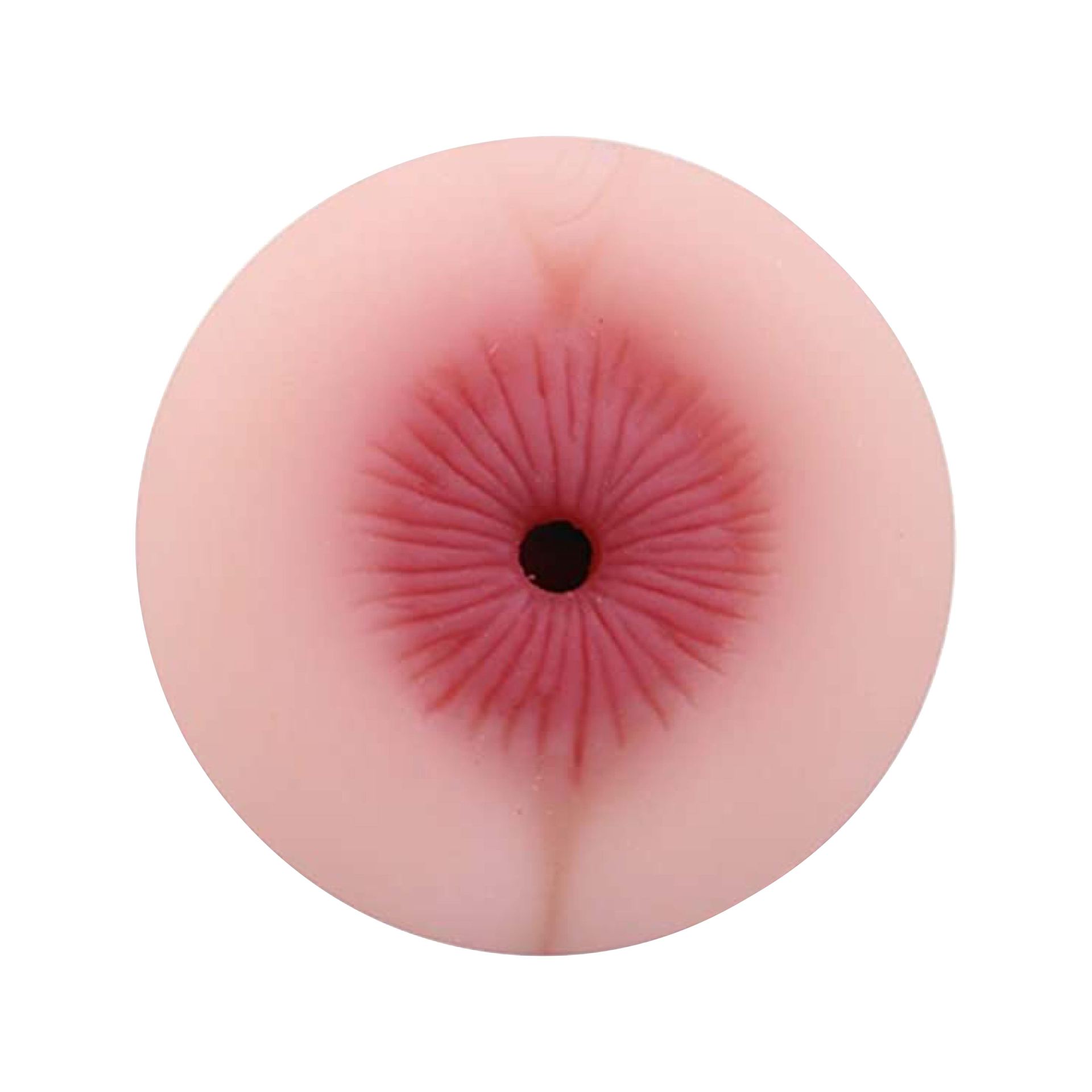 Pocket Pussy Torch Anus zwart handmatig